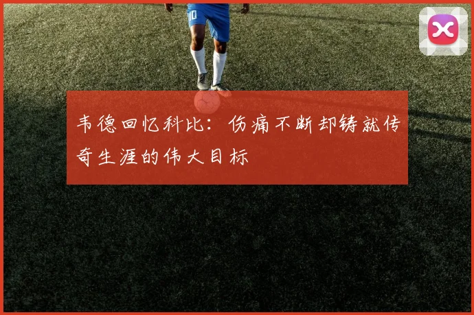 韦德回忆科比：伤痛不断却铸就传奇生涯的伟大目标